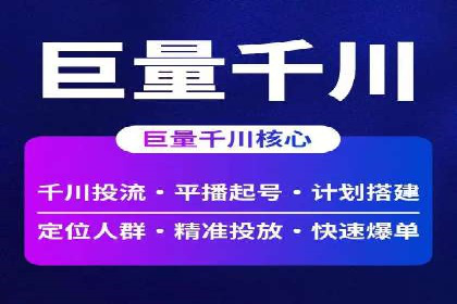 搜索引擎优化（SEO）与竞价广告（SEM）的对比案例